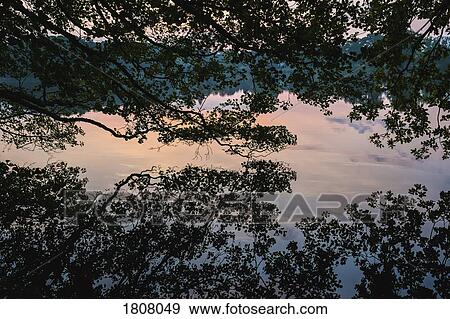 Idyllic silhouetted tree reflection in placid lake at sunset, Luetjensee, Schleswig-Holstein, German View Large Photo Image Stock Photo - Idyllic silhouetted tree reflection in placid lake at sunset, Luetjensee, Schleswig-Holstein, German. Fotosearch