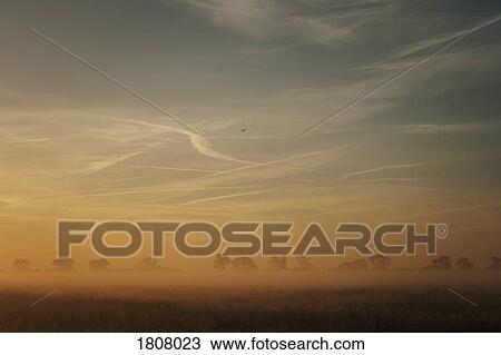Idyllic sunrise over farmland, Leopoldshagen, Mecklenburg-Vorpommern, Germany View Large Photo Image Stock Image - Idyllic sunrise over farmland, Leopoldshagen, Mecklenburg-Vorpommern, Germany. Fotosearch