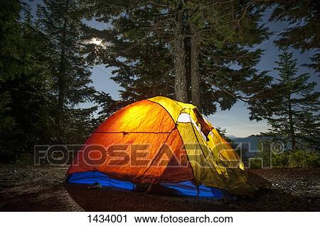 Illuminated camping tent against trees in forest View Large Photo Image Stock Image - Illuminated camping tent against trees in forest. Fotosearch