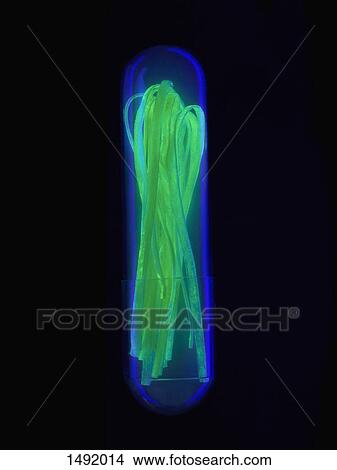 Illuminated raw pasta in glass capsule against black background View Large Photo Image Picture - Illuminated raw pasta in glass capsule against black background. Fotosearch