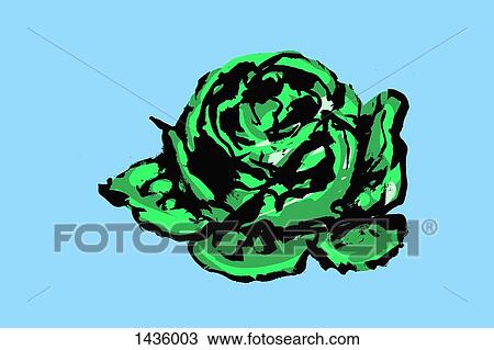 Illustration of cabbage on blue background View Large Illustration Drawing - Illustration of cabbage on blue background. Fotosearch