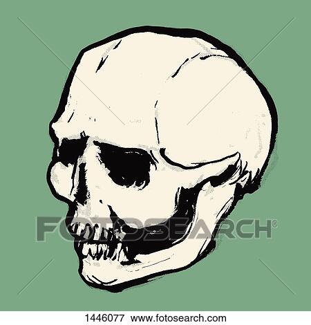 Illustration of human skull against green background View Large Illustration Stock Illustration - Illustration of human skull against green background. Fotosearch