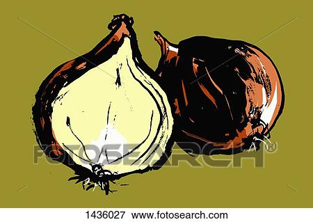 Stock Illustration - Illustration of onions against green background. Fotosearch