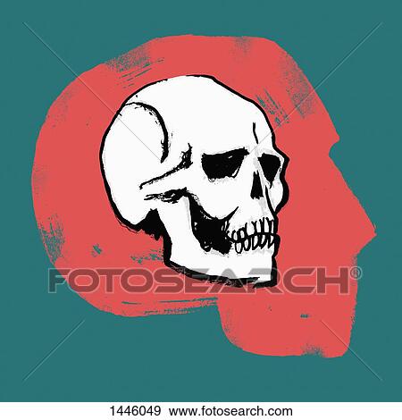 Stock Illustration - Illustration of skull in human head against green background. Fotosearch