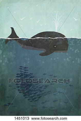 Drawing - Illustration of whale swimming in sea. Fotosearch