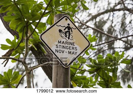 Jellyfish warning sign View Large Photo Image Stock Image - Jellyfish warning sign. Fotosearch