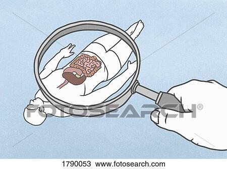 Large hand holding magnifying glass revealing internal organs of male figure below View Large Photo Image Stock Image - Large hand holding magnifying glass revealing internal organs of male figure below. Fotosearch