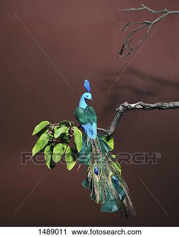 Low angle view of artificial peacock on branch View Large Photo Image Stock Image - Low angle view of artificial peacock on branch. Fotosearch