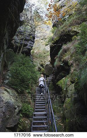Low angle view of boy moving up on metallic staircase amidst rock formations in forest View Large Photo Image Stock Photograph - Low angle view of boy moving up on metallic staircase amidst rock formations in forest. Fotosearch