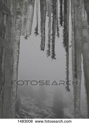 Low angle view of icicles hanging in cave during winter View Large Photo Image Stock Photo - Low angle view of icicles hanging in cave during winter. Fotosearch