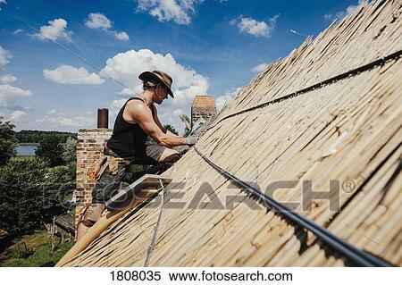 Man repairing thatch roof on sunny house View Large Photo Image Stock Photography - Man repairing thatch roof on sunny house. Fotosearch