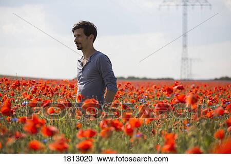 Man standing in sunny, idyllic rural red poppy field View Large Photo Image Stock Image - Man standing in sunny, idyllic rural red poppy field. Fotosearch