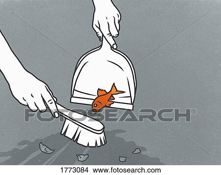 Picture - Man sweeping goldfish into dustpan. Fotosearch
