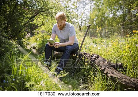 Man with beard using digital tablet in sunny garden View Large Photo Image Stock Image - Man with beard using digital tablet in sunny garden. Fotosearch