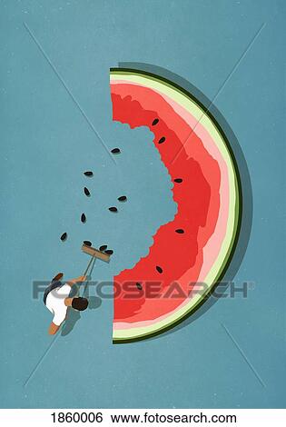 Man with broom sweeping seeds from large watermelon slice View Large Photo Image Stock Photograph - Man with broom sweeping seeds from large watermelon slice. Fotosearch