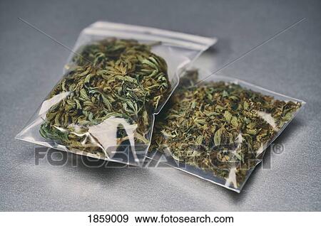 Marijuana in small plastic bags View Large Photo Image Stock Photo - Marijuana in small plastic bags. Fotosearch