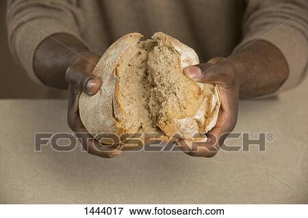 Midsection of man breaking bread loaf at table View Large Photo Image Stock Photo - Midsection of man breaking bread loaf at table. Fotosearch