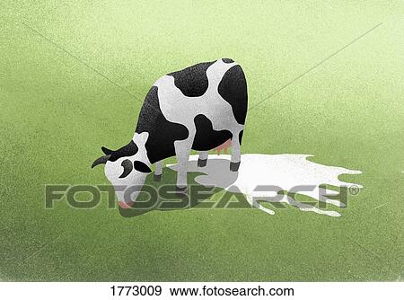 Stock Photo - Milk puddle below grazing cow. Fotosearch