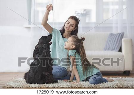 Mother and daughter playing with dog in living room at home View Large Photo Image Stock Photo - Mother and daughter playing with dog in living room at home. Fotosearch