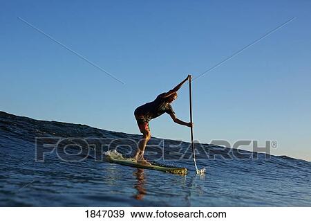 Paddle boarder riding ocean wave View Large Photo Image Stock Photo - Paddle boarder riding ocean wave. Fotosearch