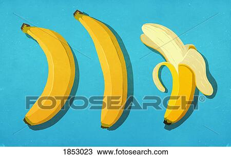 Peeled and unpeeled bananas on blue background View Large Photo Image Stock Image - Peeled and unpeeled bananas on blue background. Fotosearch