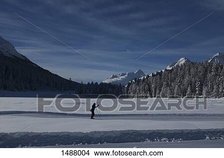 Person skiing on across snowy landscape, Pontresina, Switzerland View Large Photo Image Picture - Person skiing on across snowy landscape, Pontresina, Switzerland. Fotosearch