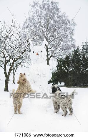 Playful dogs jumping on snowman View Large Photo Image Stock Photography - Playful dogs jumping on snowman. Fotosearch