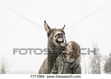 Playful girl and donkey View Large Photo Image Picture - Playful girl and donkey. Fotosearch