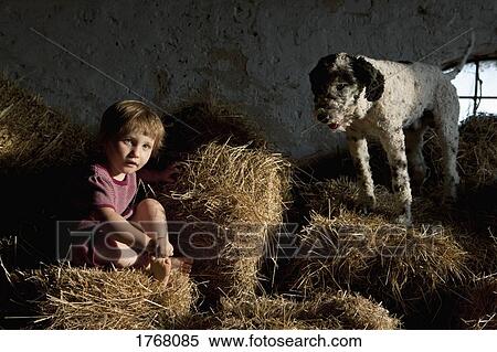 Portrait cute girl with dog sitting in hay View Large Photo Image Stock Photography - Portrait cute girl with dog sitting in hay. Fotosearch