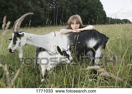 Portrait girl leaning on goat in rural field View Large Photo Image Stock Image - Portrait girl leaning on goat in rural field. Fotosearch