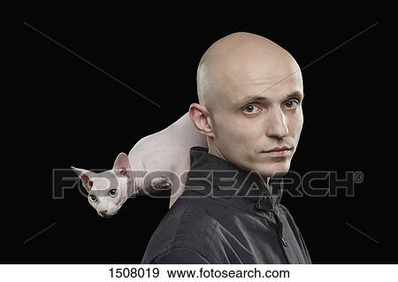 Portrait of bald man carrying Sphynx hairless cat on shoulder against black background View Large Photo Image Stock Photo - Portrait of bald man carrying Sphynx hairless cat on shoulder against black background. Fotosearch