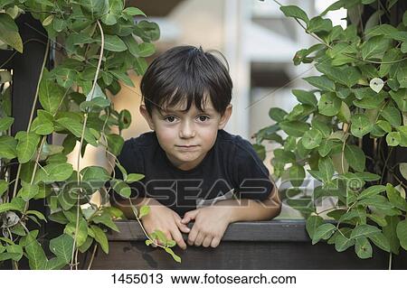 Portrait of boy standing at railing amidst plants View Large Photo Image Stock Image - Portrait of boy standing at railing amidst plants. Fotosearch
