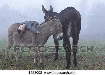 Portrait of girl lying on donkey at field in foggy weather View Large Photo Image Stock Photo - Portrait of girl lying on donkey at field in foggy weather. Fotosearch