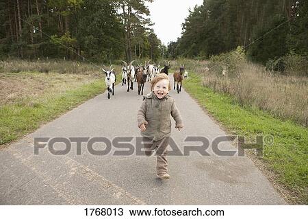 Stock Image - Portrait playful girl being chased by goats on rural road. Fotosearch