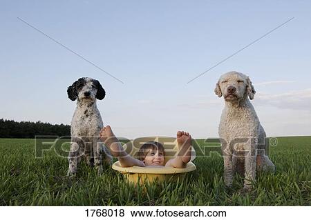 Portrait playful girl in bathtub next to dogs in rural field View Large Photo Image Stock Photo - Portrait playful girl in bathtub next to dogs in rural field. Fotosearch