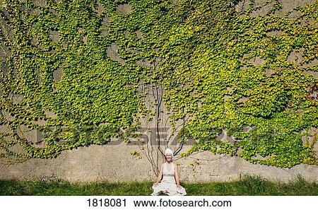 Portrait serene woman meditating at wall overgrown with ivy View Large Photo Image Stock Image - Portrait serene woman meditating at wall overgrown with ivy. Fotosearch