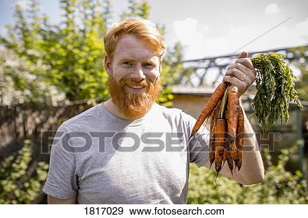 Portrait smiling man with beard harvesting carrots in sunny vegetable garden View Large Photo Image Stock Photo - Portrait smiling man with beard harvesting carrots in sunny vegetable garden. Fotosearch