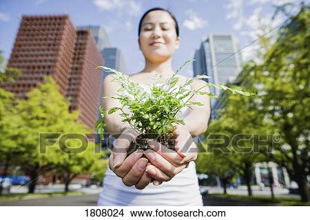 Picture - Portrait woman holding green saplings in sunny city, Tokyo, Japan. Fotosearch
