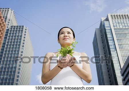 Portrait young woman holding green sapling below city highrises View Large Photo Image Stock Photo - Portrait young woman holding green sapling below city highrises. Fotosearch