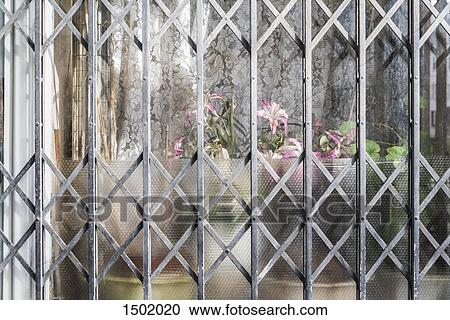Potted plants at window seen through metal grate View Large Photo Image Stock Image - Potted plants at window seen through metal grate. Fotosearch