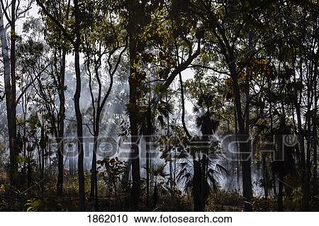 Stock Image - Preventative patch burning fire smoke in tropical forest, Kakadu National Park, Australia. Fotosearch