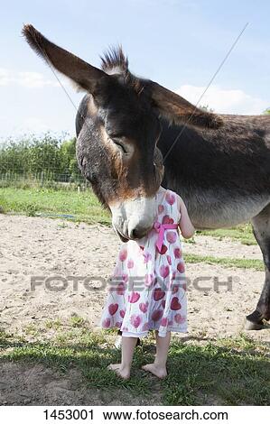 Rear view of girl standing with mule donkey on field View Large Photo Image Stock Image - Rear view of girl standing with mule donkey on field. Fotosearch