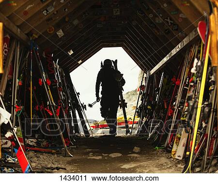 Rear view of man with ski equipment walking out of shed View Large Photo Image Stock Image - Rear view of man with ski equipment walking out of shed. Fotosearch