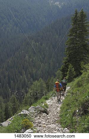 Rear view of people walking on walkway on mountain against valley View Large Photo Image Stock Image - Rear view of people walking on walkway on mountain against valley. Fotosearch