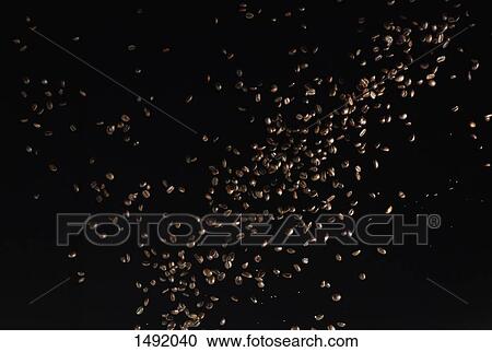 Roasted coffee beans in mid-air against black background View Large Photo Image Stock Image - Roasted coffee beans in mid-air against black background. Fotosearch