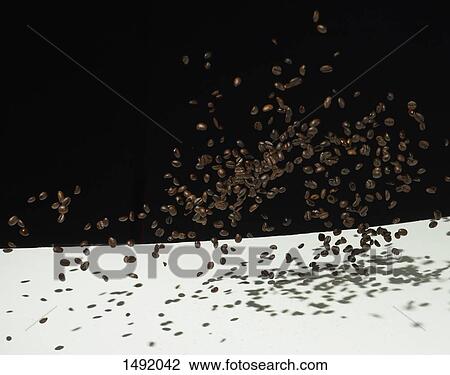 Roasted coffee beans in mid-air over table against black background View Large Photo Image Stock Image - Roasted coffee beans in mid-air over table against black background. Fotosearch