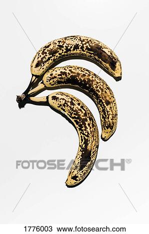 Rotting, ripe bananas against white background View Large Photo Image Stock Image - Rotting, ripe bananas against white background. Fotosearch