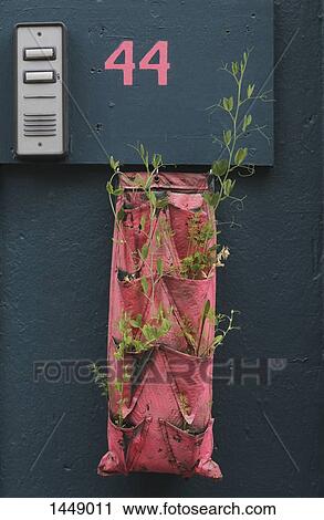 Saplings in fabric hanging below information sign on wall View Large Photo Image Stock Image - Saplings in fabric hanging below information sign on wall. Fotosearch