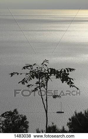 Scenic view of lake with plants in foreground View Large Photo Image Stock Photo - Scenic view of lake with plants in foreground. Fotosearch