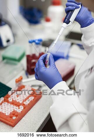 Stock Photograph - Scientist pouring chemical in vial through pipette at laboratory. Fotosearch
